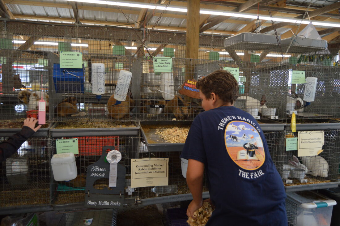 There's lot to do at the Harrison County Fair | News, Sports, Jobs - Vimarsana News